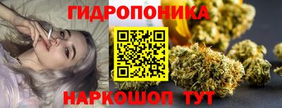 стафф Новодвинск