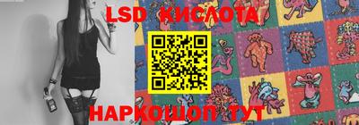 стафф Новодвинск
