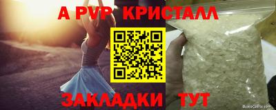 стафф Новодвинск